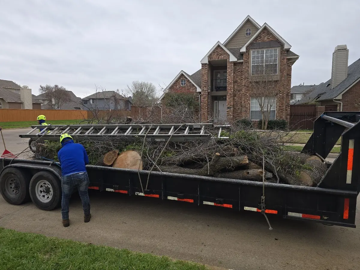 Expert Tree Pest Control with proper safety equipment in Strunk